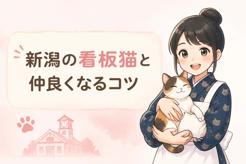新潟で看板猫と触れ合うためのコツや注意点